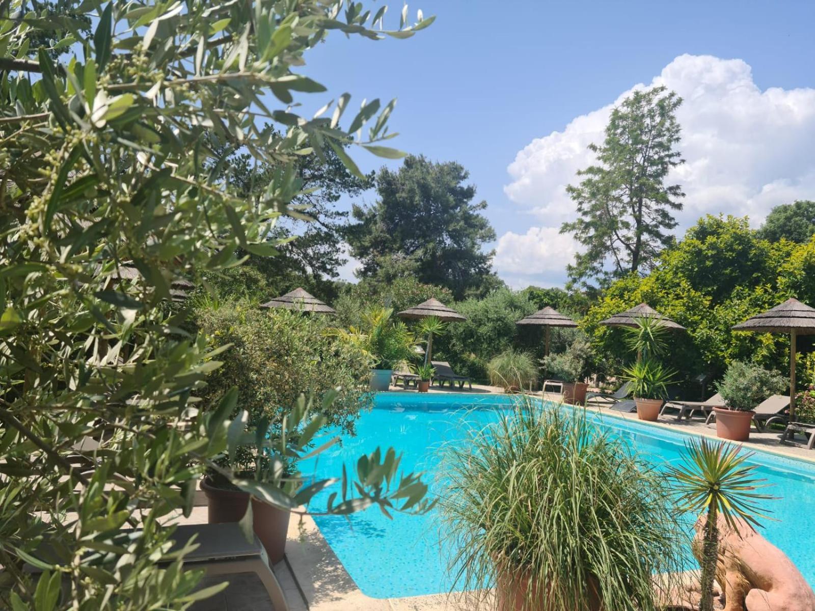 Apartment Relais De Bravone Linguizzetta